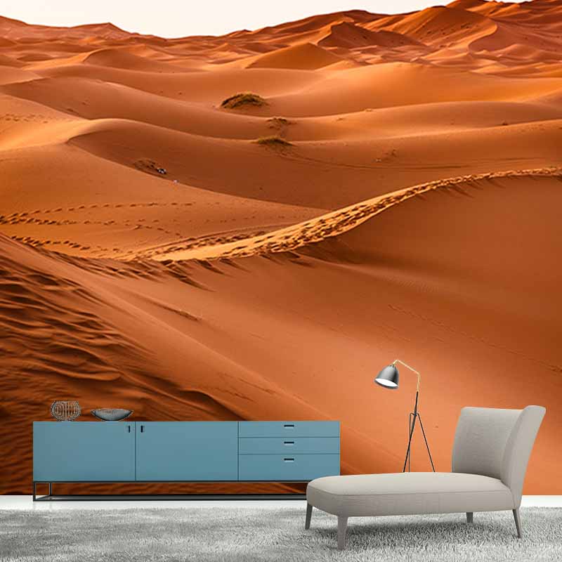 Photography Stain Resistant Desert Wallpaper Drawing Room Wall Mural