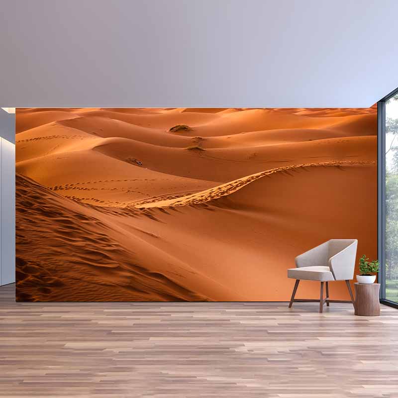 Photography Stain Resistant Desert Wallpaper Drawing Room Wall Mural