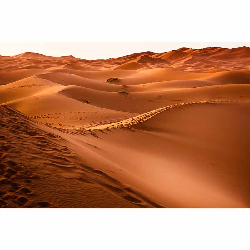 Photography Stain Resistant Desert Wallpaper Drawing Room Wall Mural
