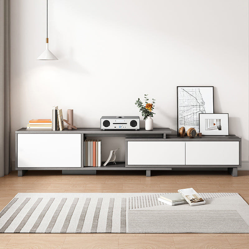 Scandinavian TV Console with Cabinet Engineered Wood TV Stand Console