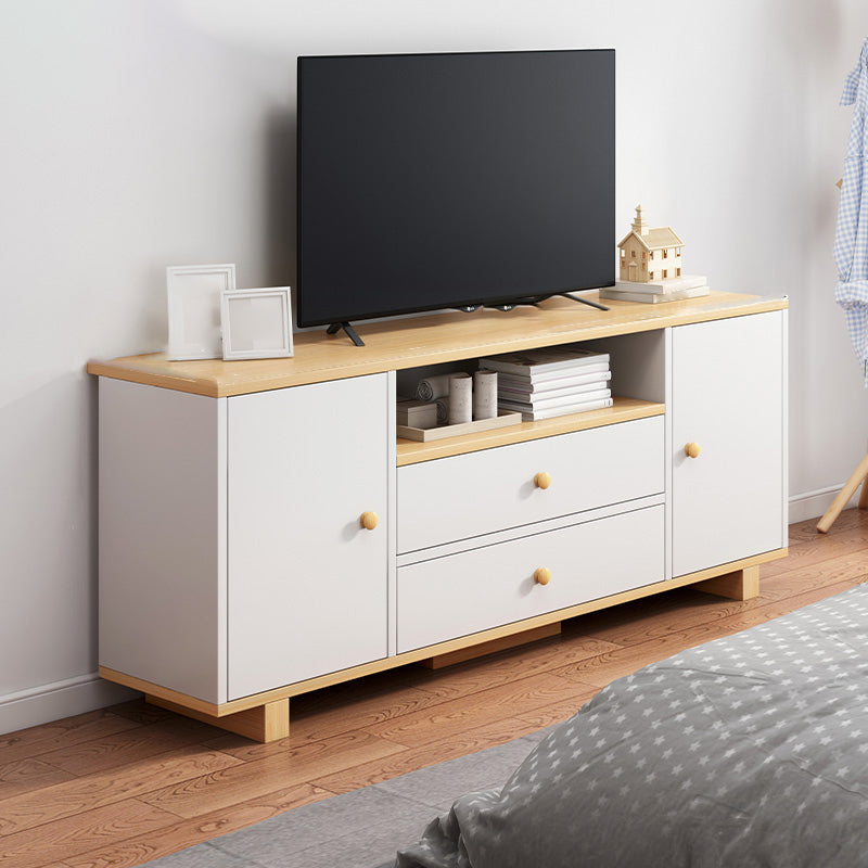 Scandinavian TV Stand Console with Cabinet Engineered Wood TV Stand