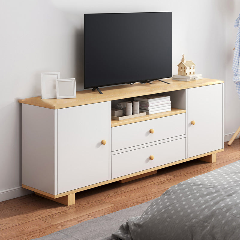 Scandinavian TV Stand Console with Cabinet Engineered Wood TV Stand