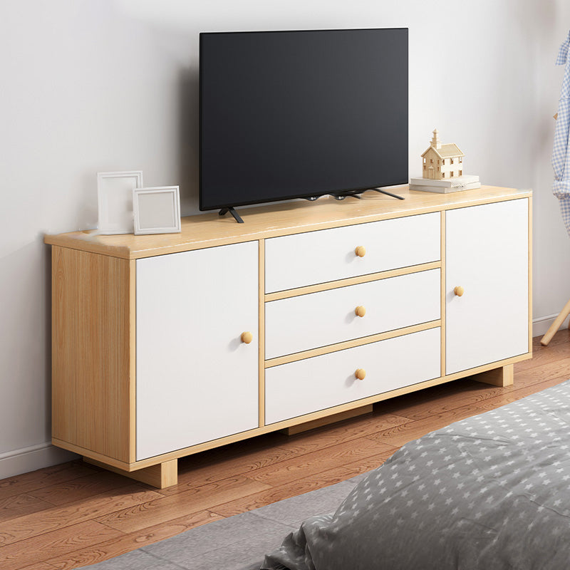 Scandinavian TV Stand Console with Cabinet Engineered Wood TV Stand