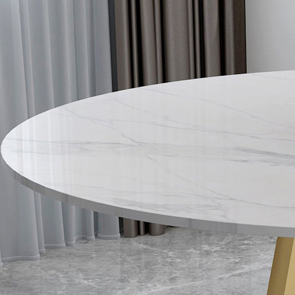 Contemporary Round Dining Table Sintered Stone Top Iron Pedestal Table