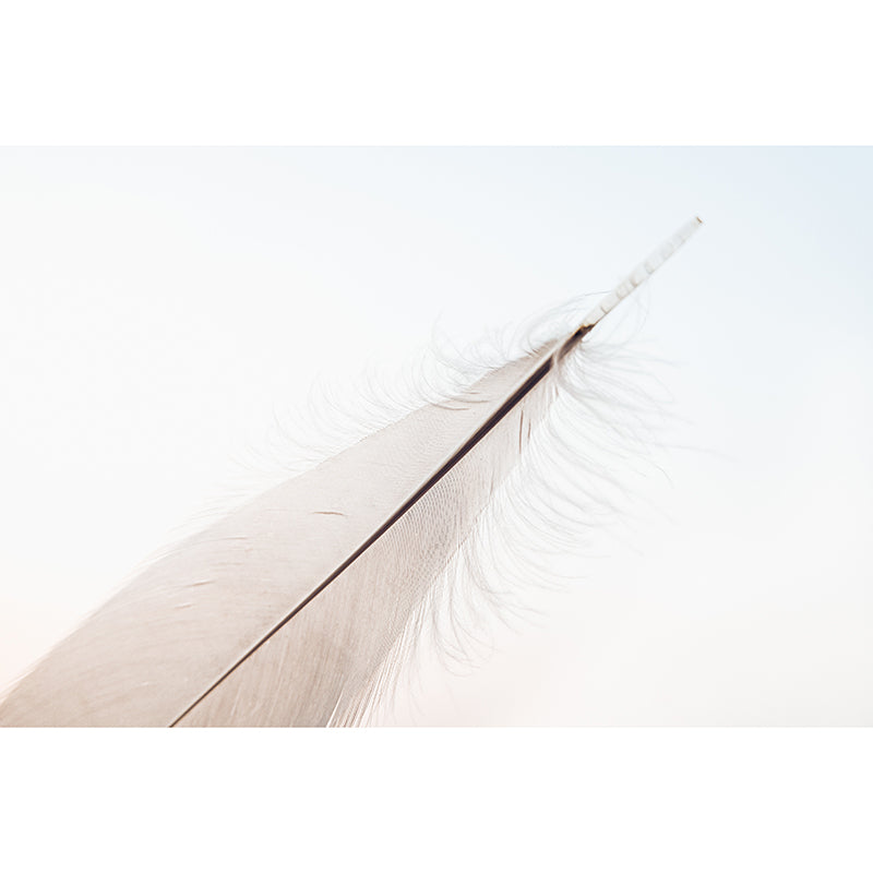 Environment Friendly Photography Wallpaper Feather Home Decor Wall Mural