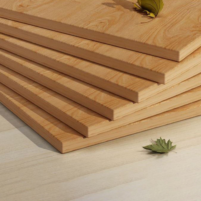 Closed Back Bookshelf Engineered Wood Bookcase for Study Room