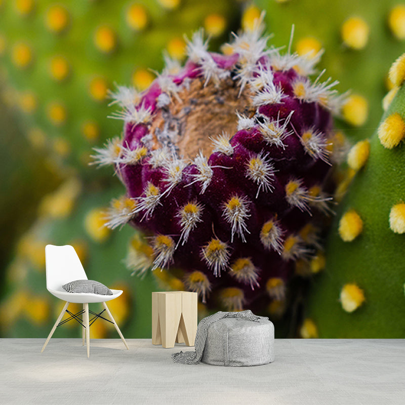 Pleasing Wall Mural Tropical Cactus Patterned Sitting Room Wall Mural