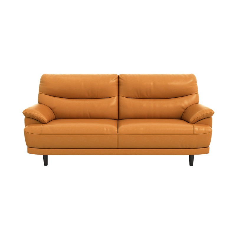 Stain Resistant Leather Pillow Top Arm Biscuit Back Settee Couch