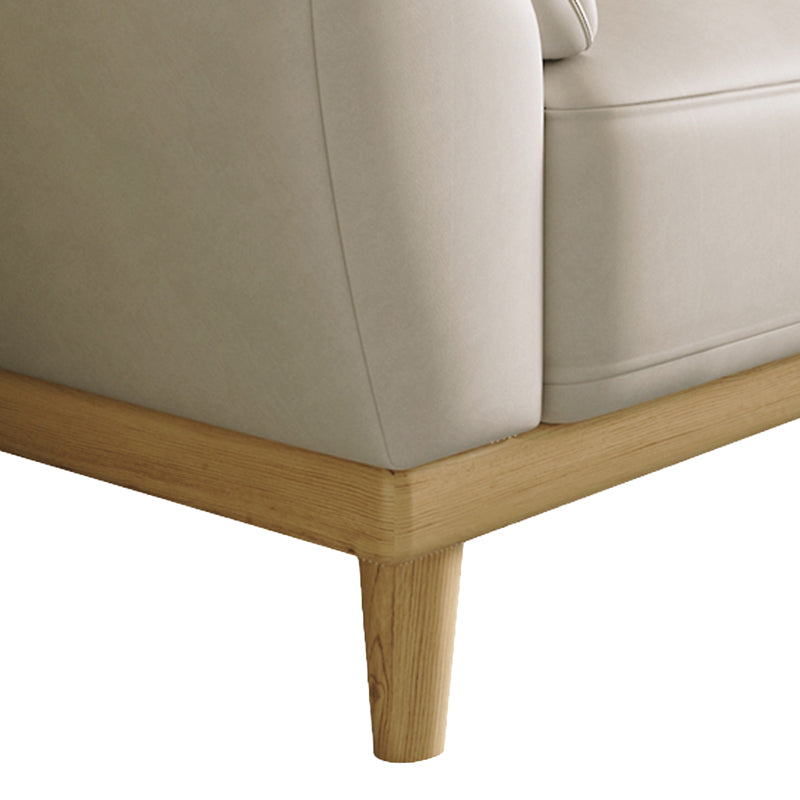 Stationary Stain Resistant Living Room Pillow Top Arm Standard Sofa