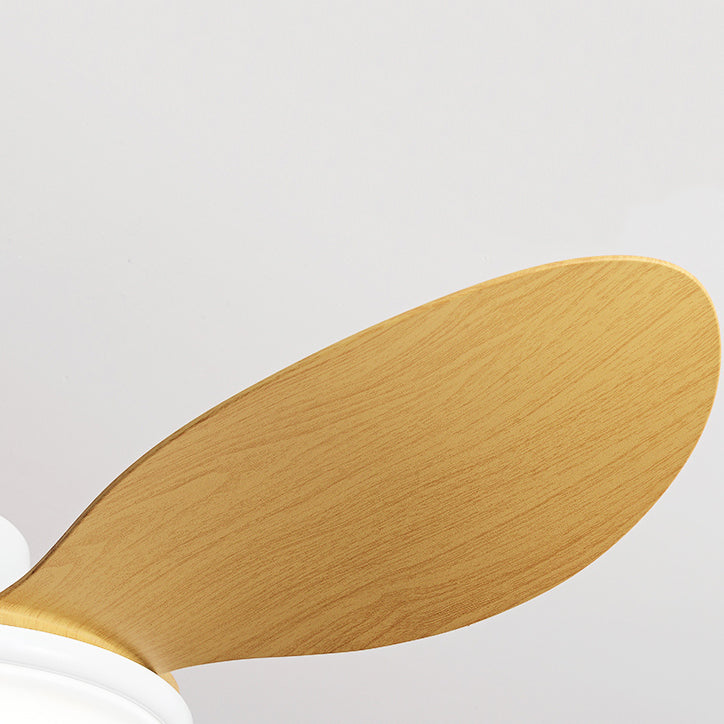 Unique Shape Metal Ceiling Fan Light Kids Style Single Light Ceiling Fan Lamp