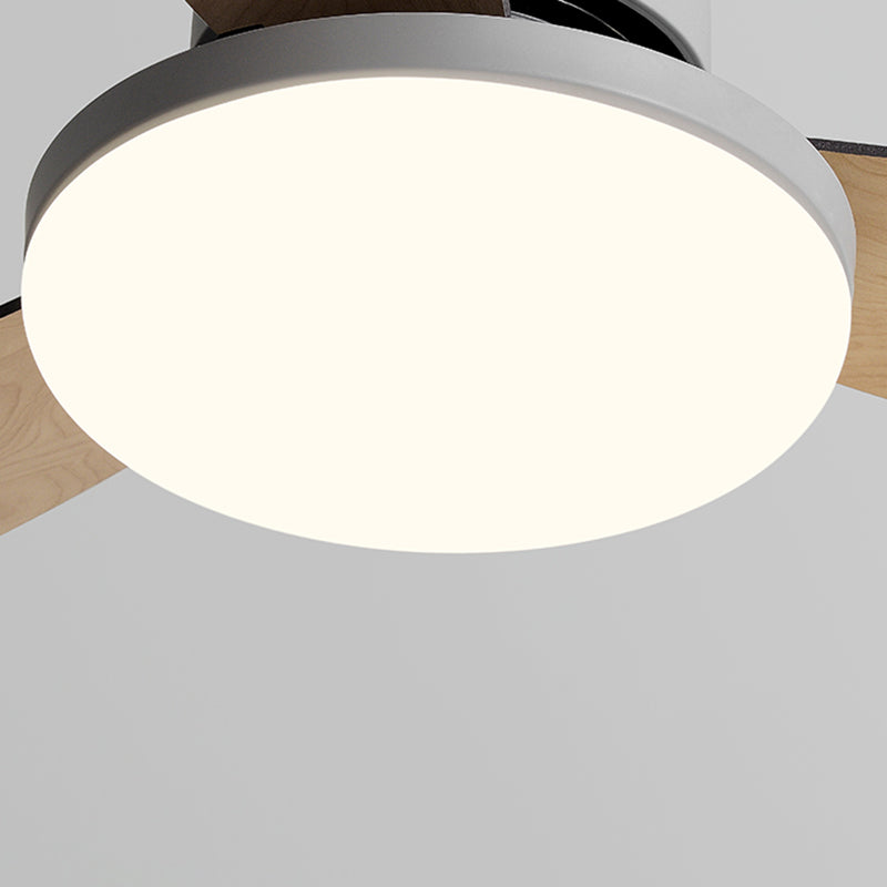 Unique Shape Ceiling Fan Lighting Kids Style Metal Single Light Ceiling Fan Lamp