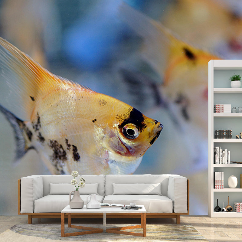 Photography Wall Mural Tropical Fish Printed Drawing Room Wall Mural