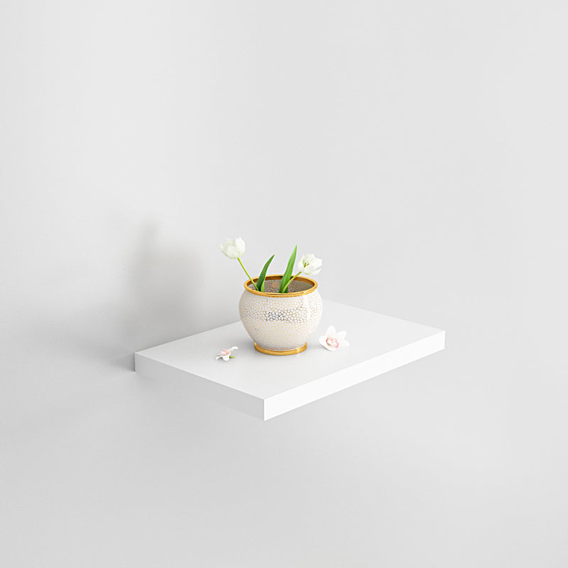 Contemporary Wood Bookshelf Closed Back Wall Mounted Bookcase for Office