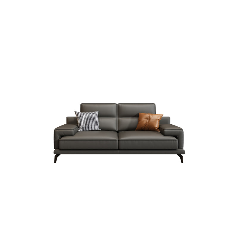 Genuine Leather Stationary Stain Resistant Living Room Gray Sofa