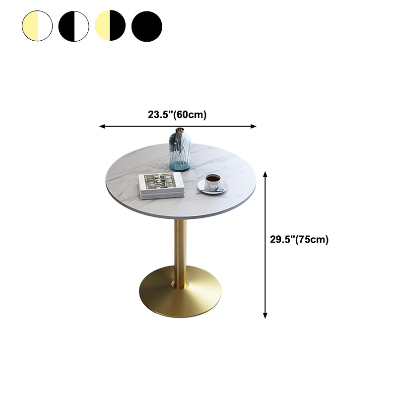 Metal Traditional Luxury Round Dining Table for Home Sintered Stone Table with Pedestal