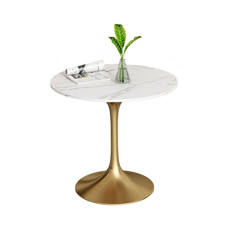 Metal Traditional Luxury Round Dining Table Sintered Stone Table with Tulip Base