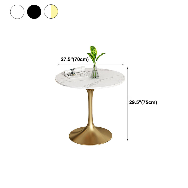 Metal Traditional Luxury Round Dining Table Sintered Stone Table with Tulip Base