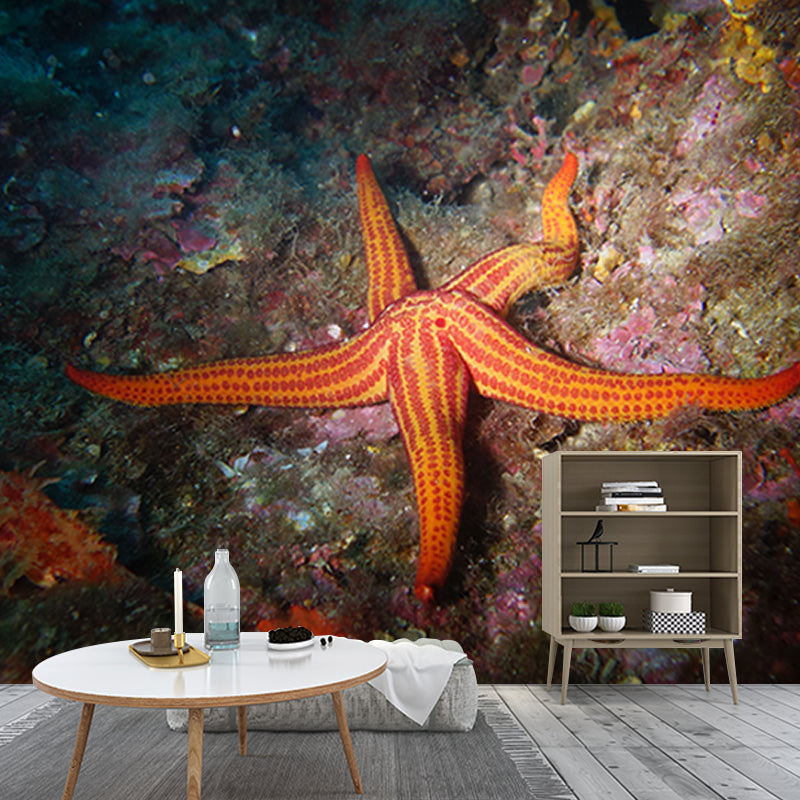 Contemporary Wall Mural Environmental Photography Stain Resistant Living Room Wallpaper