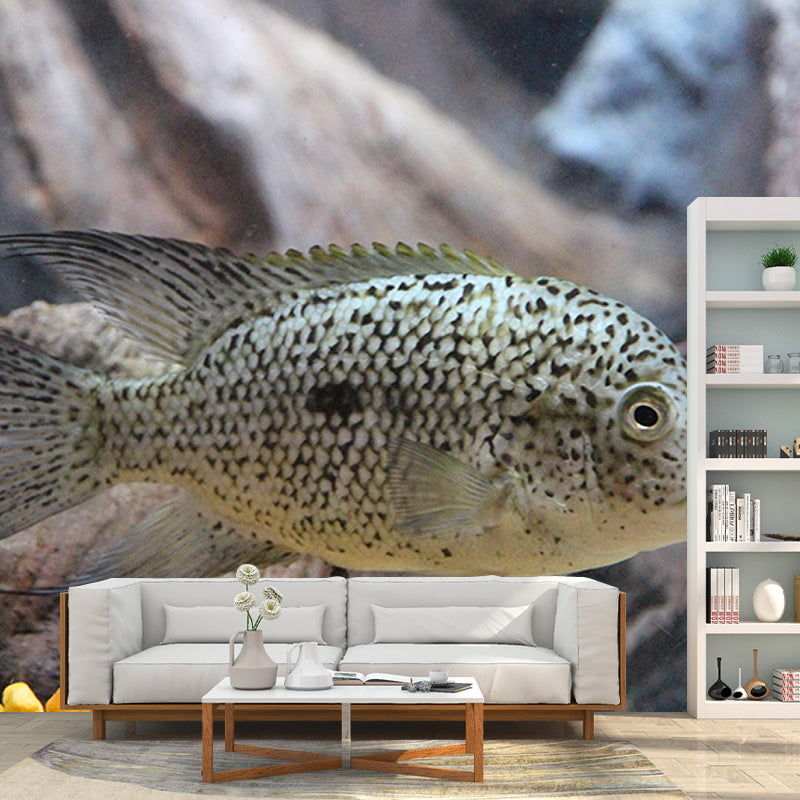Photography Wall Mural Stain Resistant Environmental Bathroom Fish Wallpaper