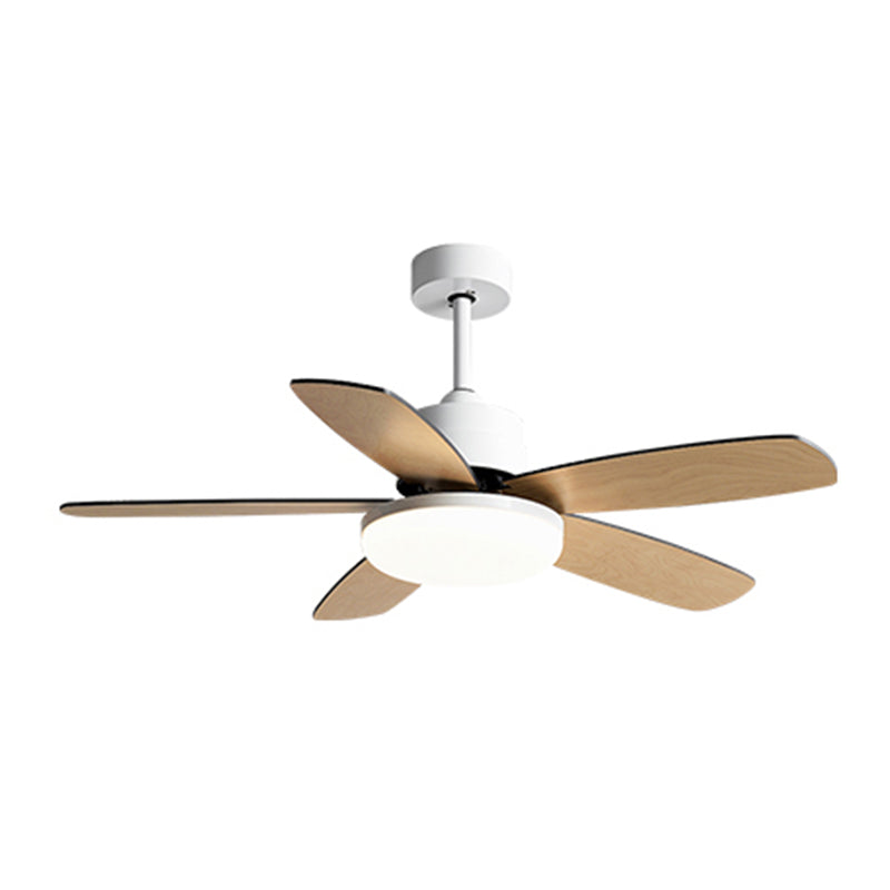 Unique Shape Metal Ceiling Fan Light Kids Style 1-Light Ceiling Fan Lamp for Living Room