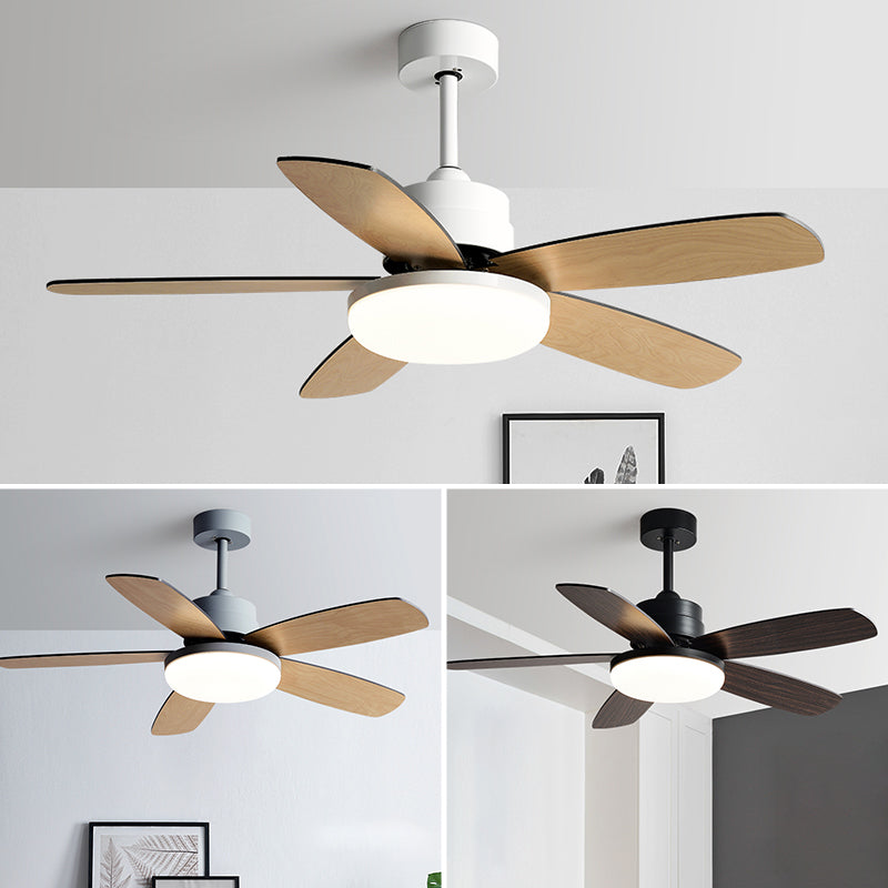Unique Shape Metal Ceiling Fan Light Kids Style 1-Light Ceiling Fan Lamp for Living Room
