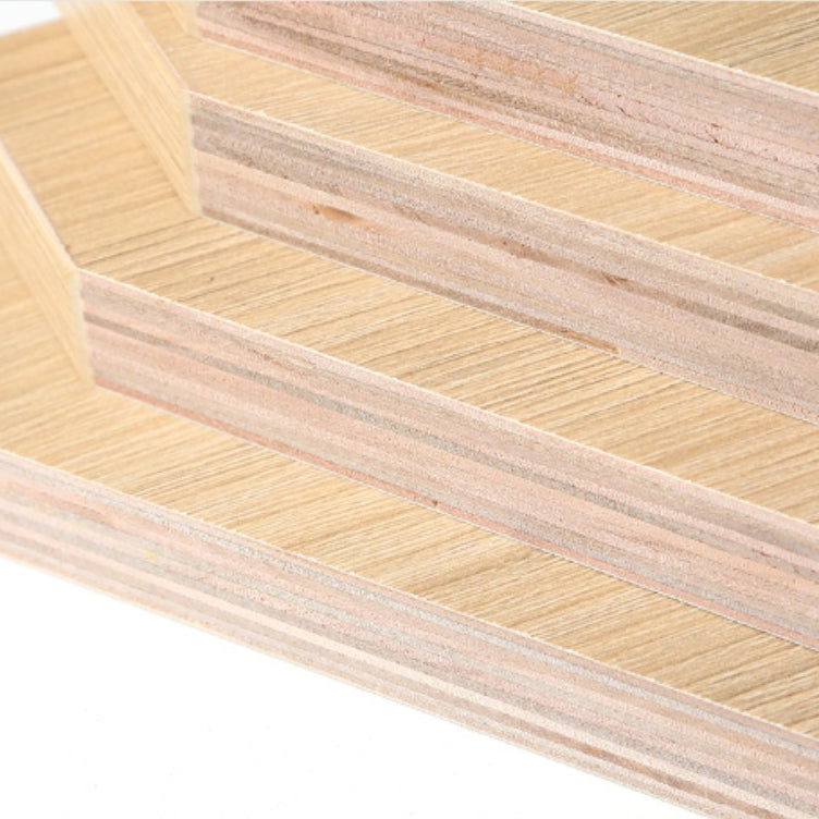 Contemporary Wood Bookshelf Closed Back Bookcase for Home Office