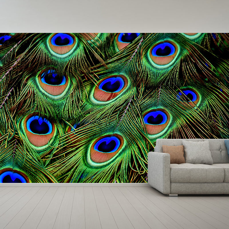 Photography Wall Mural Peacock Feather Patterned Drawing Room Wall Mural