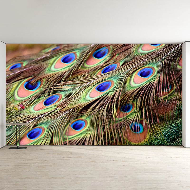 Chromatic Wall Mural Peacock Feather Print Living Room Wall Mural