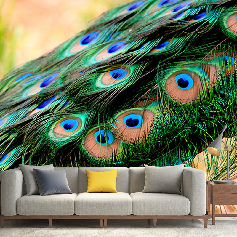 Pleasing Wall Mural Peacock Feather Pattern Sitting Room Wall Mural