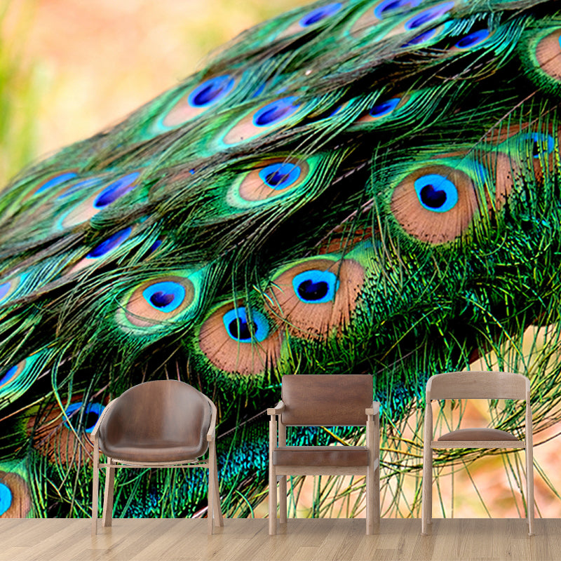 Pleasing Wall Mural Peacock Feather Pattern Sitting Room Wall Mural