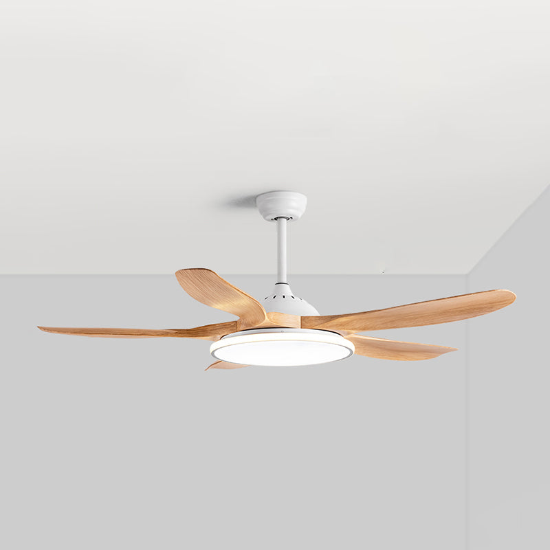 Unique Shape Metal Ceiling Fan Lights Kids Style 2 Light Ceiling Fan Lamps for Living Room