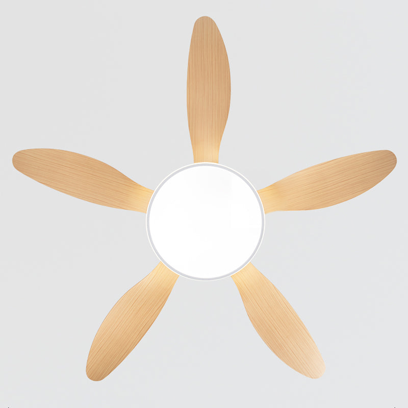 Unique Shape Metal Ceiling Fan Lights Kids Style 2 Light Ceiling Fan Lamps for Living Room