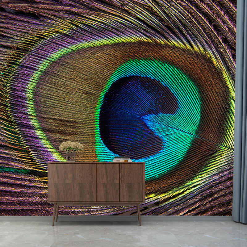 Chromatic Wall Mural Peacock Feather Pattern Drawing Room Wall Mural