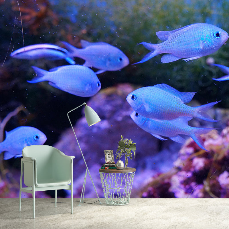 Photography Tropical Wall Mural Stain Resistant Fish Sitting Room Wall Mural