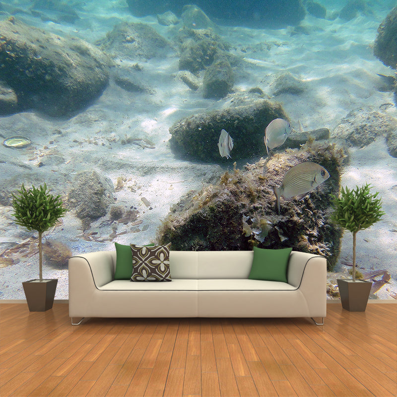 Tropical Photography Wall Mural Sea Animal Sitting Room Stain Resistant Wall Mural