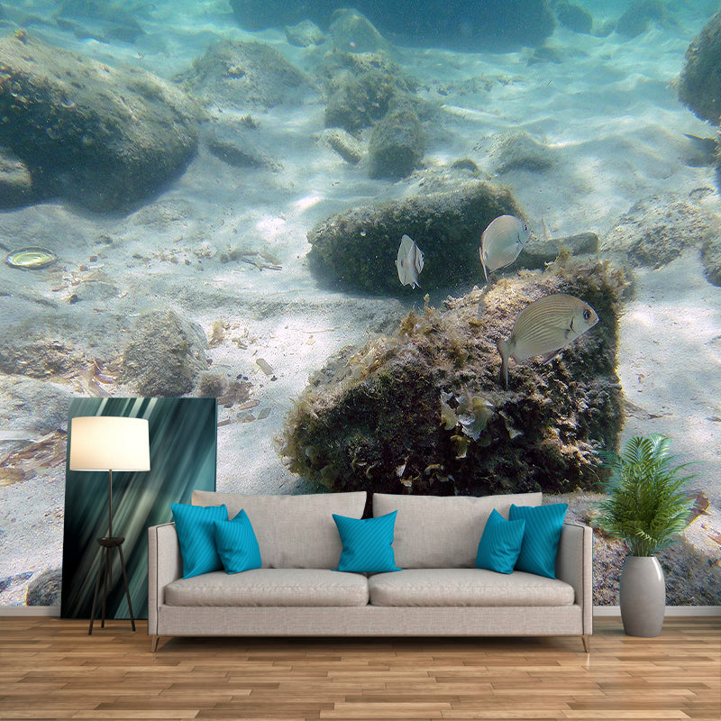 Tropical Photography Wall Mural Sea Animal Sitting Room Stain Resistant Wall Mural