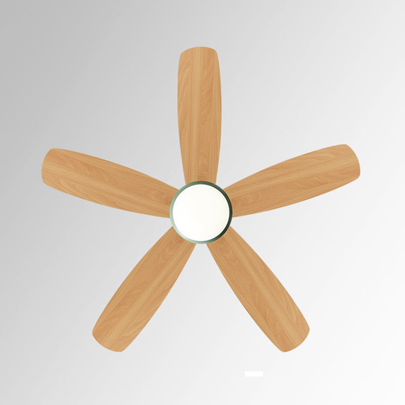 1-Light Ceiling Fan Lamp Modern Style Metal Ceiling Fan Lighting for Bedroom