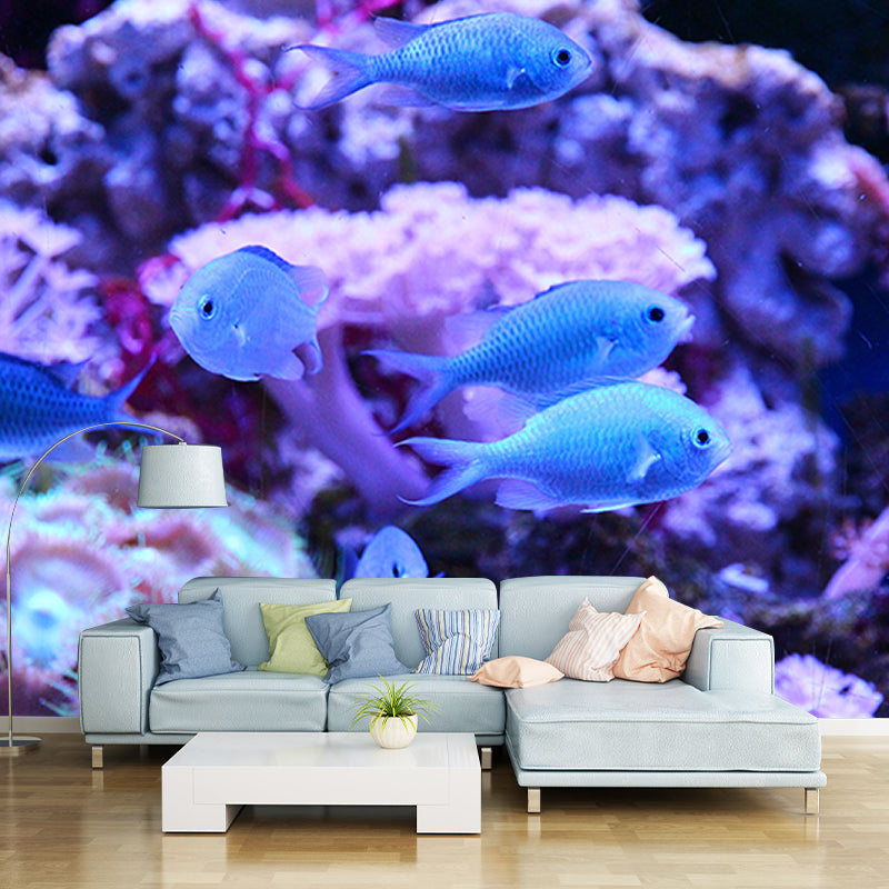 Fish Wall Mural Photography Tropical Stain Resistant Sea Bench Wall Mural