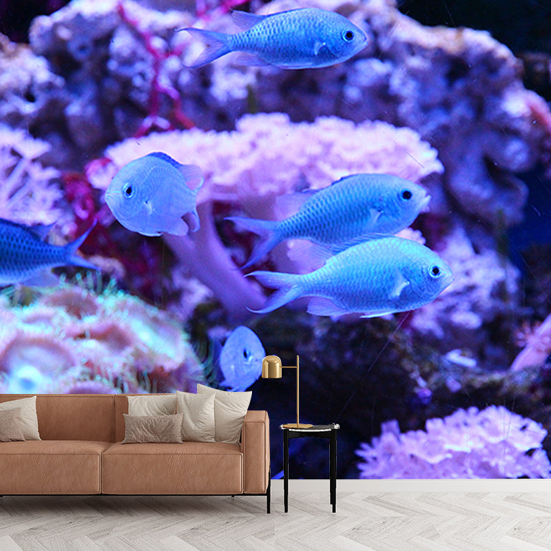 Fish Wall Mural Photography Tropical Stain Resistant Sea Bench Wall Mural