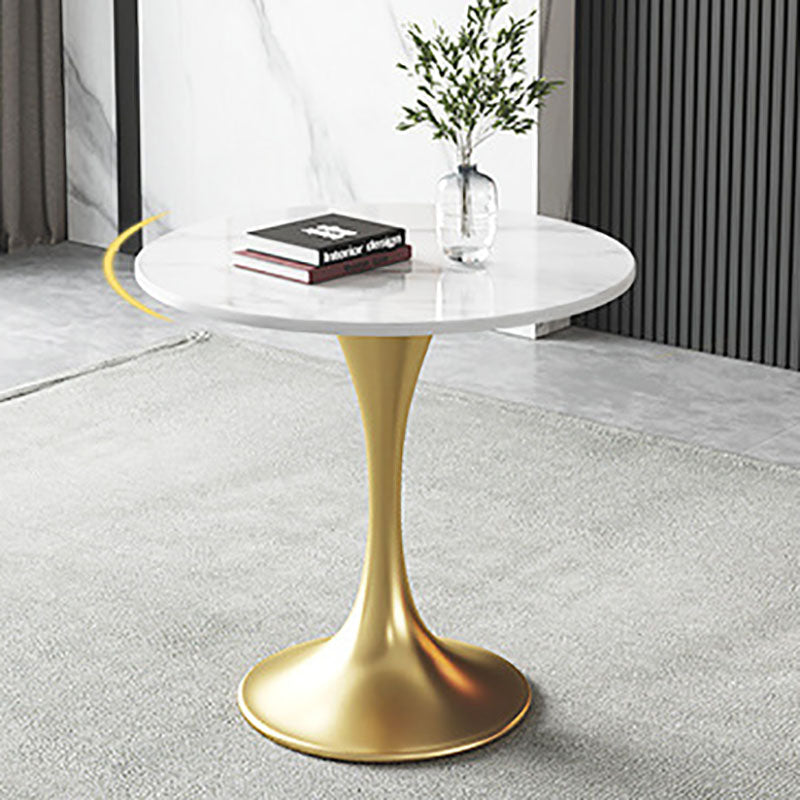 Metal Traditional Luxury Round Table for Home Sintered Stone Table with Tulip