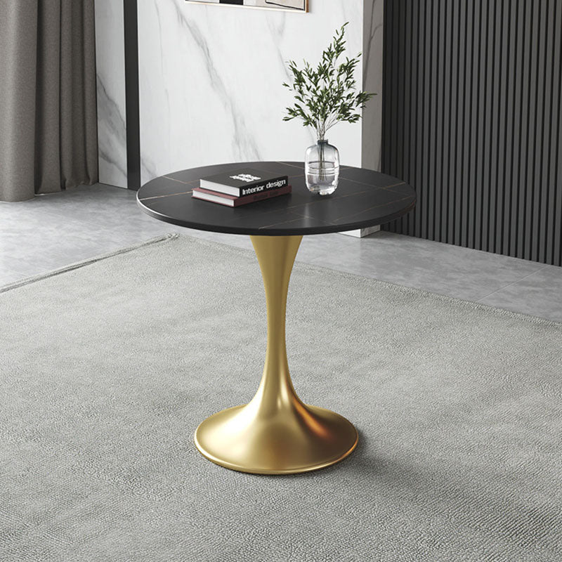 Metal Traditional Luxury Round Table for Home Sintered Stone Table with Tulip