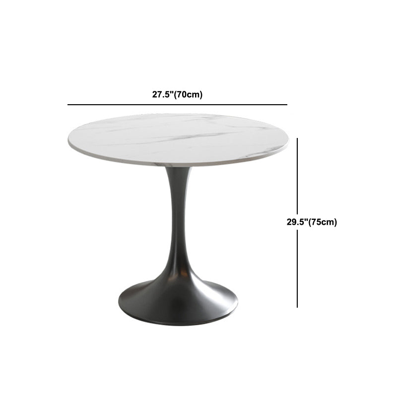 Modern Round Dining Table Set 1/2/3/4/5 Pcs Sintered Stone Dining Table and Chairs