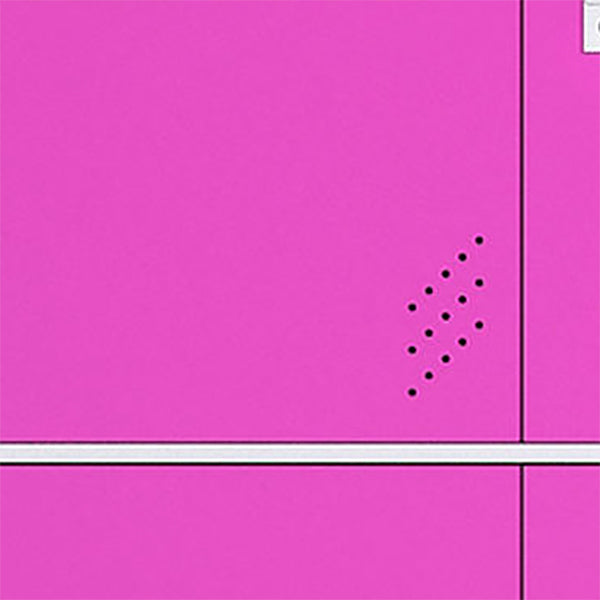 Modern Hinged Storage Cabinet Steel Non-Hanging Wardrobe Armoire