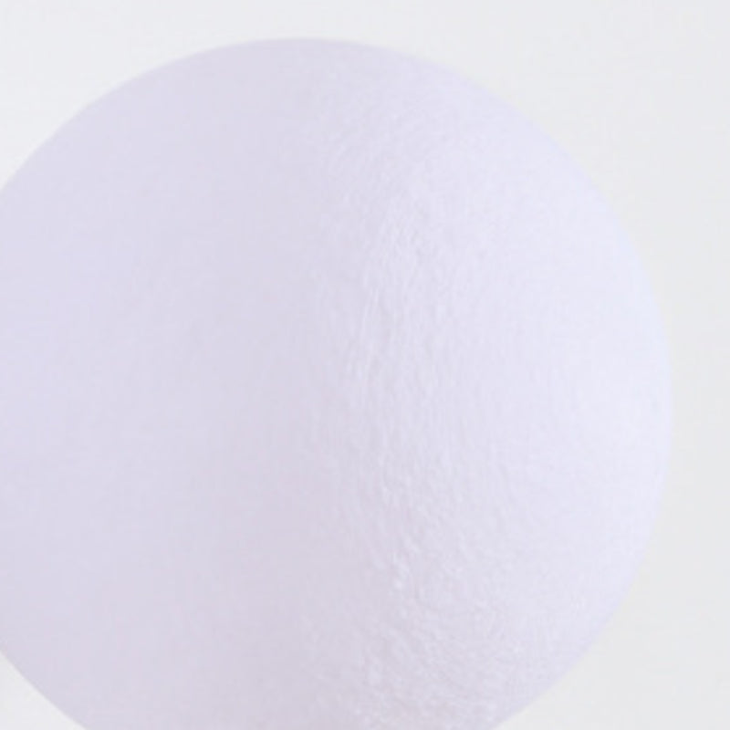 Children Metal Wall Light Flush Mount Globe Shaded Lighting for Foyer and Home