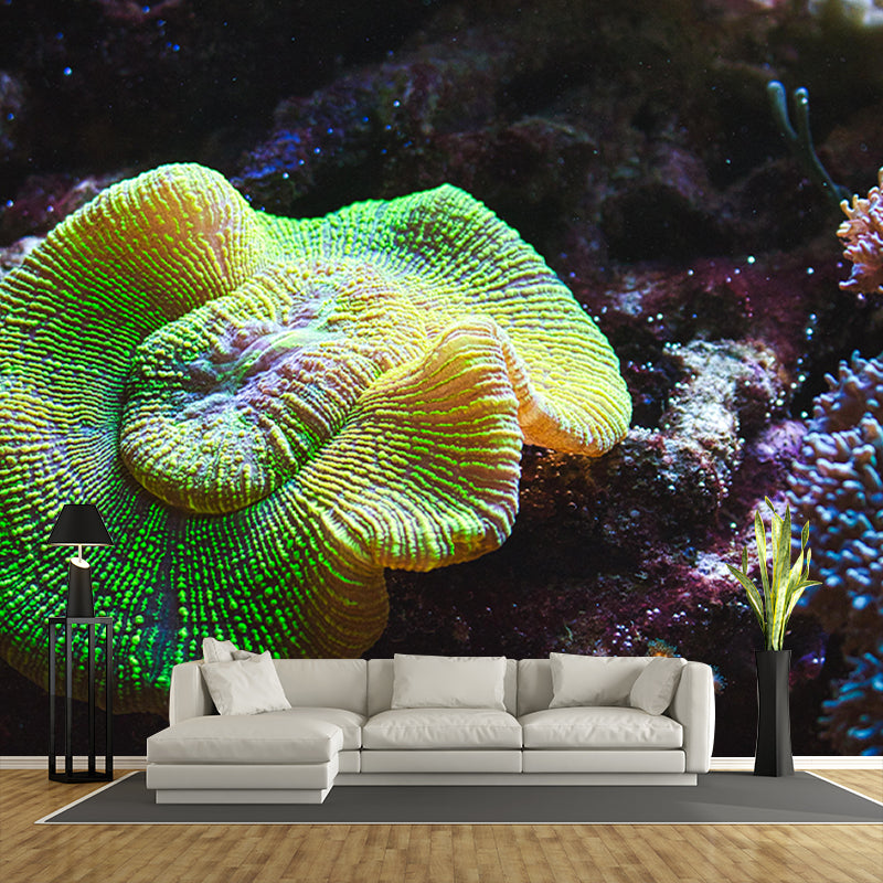 Attractive Wall Mural Coral Patterned Living Room Wall Mural