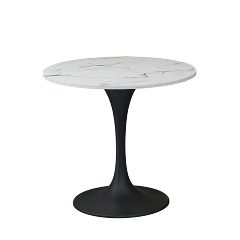 Contemporary Sintered Stone Dining Table Set Round 1/2/4/5 Pieces Dining Set