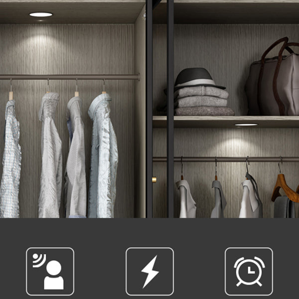 Contemporary Style Wardrobe Gray Colour Glass Wardrobe Closet