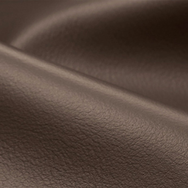 Contemporary Brown Cushions Standard Pillow Top Arm Stain Resistant Sofa