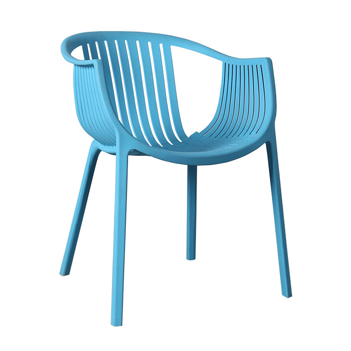 Contemporary Dining Chairs Arm Chair with Plastic Legs for Home