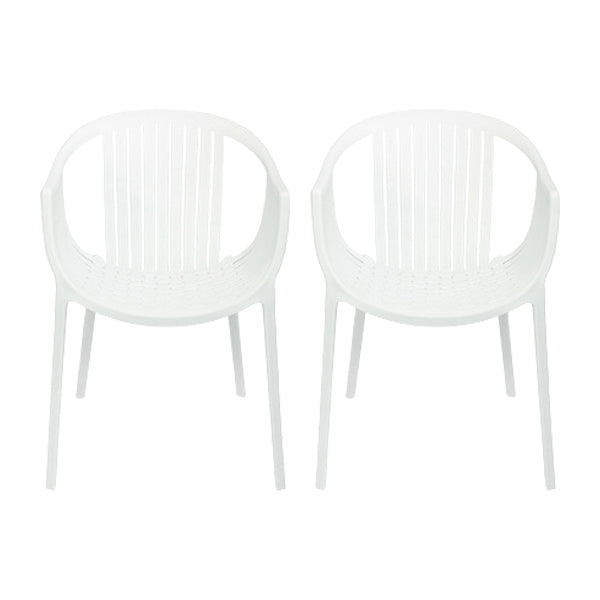 Contemporary Dining Chairs Arm Chair with Plastic Legs for Home